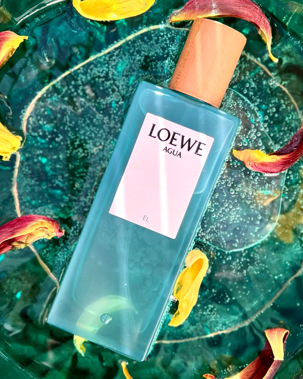 #CC – MERCURY IN&nbsp;PISCES