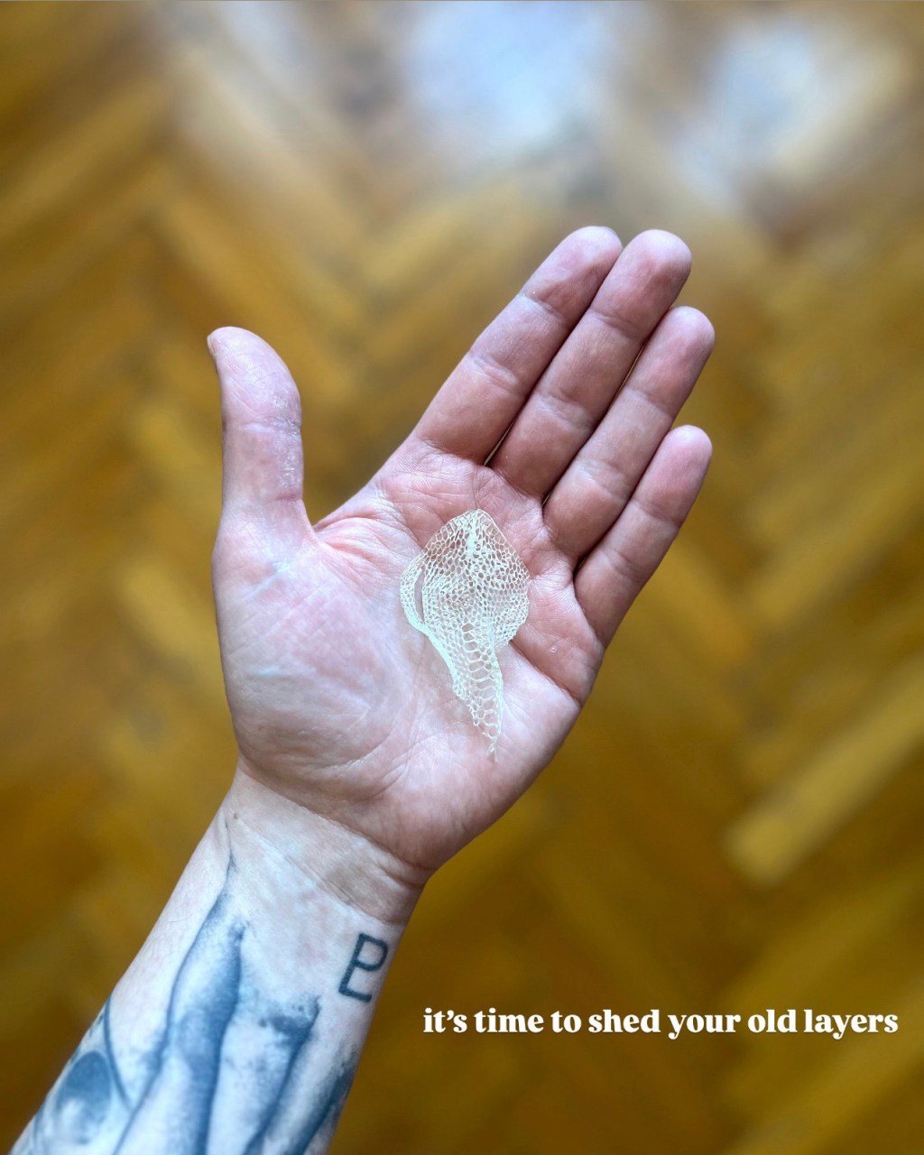 #CC – BLOOD MOON LUNAR ECLIPSE IN&nbsp;VIRGO